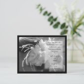 超シャワー招待状 招待状 (スタンド正面)