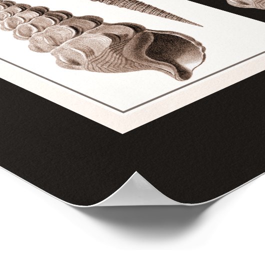 超ヴィンテージエレガントアールデコシーシェルポスター ポスター (角)