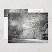 超偽カラー赤外線春の風景。 ポストカード (正面/裏面)