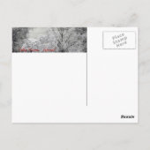 超偽カラー赤外線春の風景。 ポストカード (裏面)