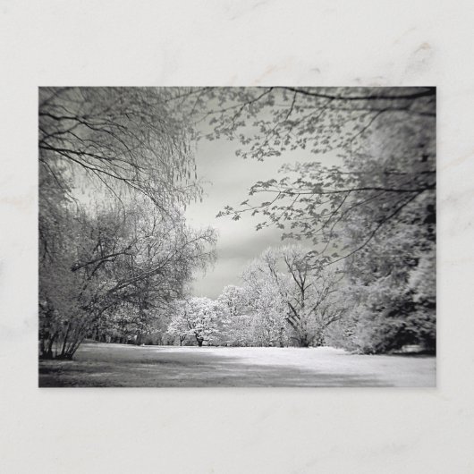 超偽カラー赤外線春の風景。 ポストカード (正面)