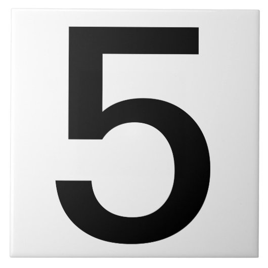 超大型住宅用タイル6"x6" タイル (正面)