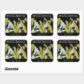 超新星サティバ スクエアシール (シート)