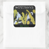 超新星サティバ スクエアシール (バッグ)