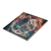 超新星残骸カシオペアA. タイル (側面)