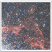 超新星爆発の星の生存者を探す シール (正面)