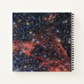 超新星爆発の星の生存者を探す ノートブック (裏面)