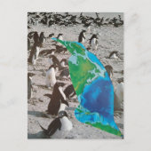 超現実的なペンギンの野生生物コラージュ ポストカード (正面)