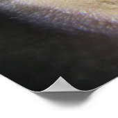 超現実的な目の滝ファンタジー ポスター (角)