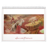 超現実的な目の錯覚 カレンダー (カバー)