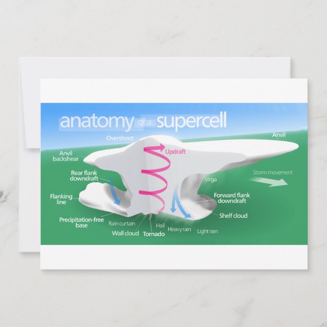 超細胞嵐ダイアグラムの構造 (正面)