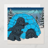 超絶かわいいニューファンドランドの子犬 シーズンカード (正面/裏面)