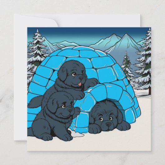 超絶かわいいニューファンドランドの子犬 シーズンカード (正面)