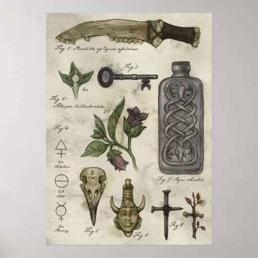 超自然史狩猟者のアーティファクト ポスター (正面)