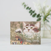 超自然猫 ポストカード (スタンド正面)