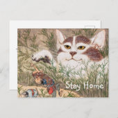 超自然猫 ポストカード (正面/裏面)