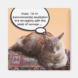 超越的な黙想のトルコCAT マグネット