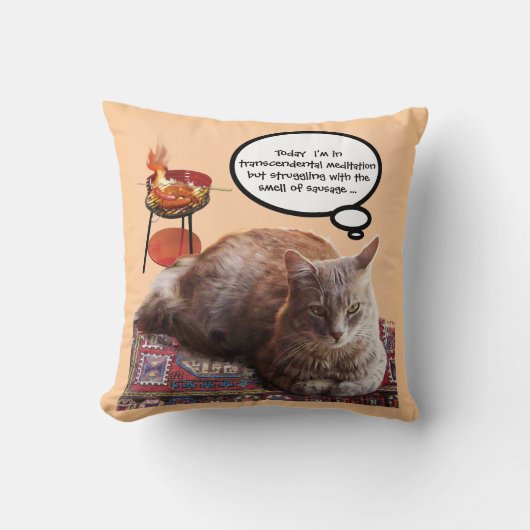 超越瞑想のトルコ猫 クッション (正面)