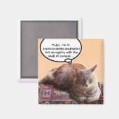 超越瞑想をするトルコ猫 マグネット (正面/裏面)