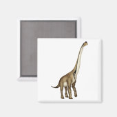 超音波の マグネット (正面/裏面)