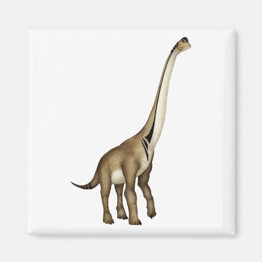 超音波の マグネット (正面)