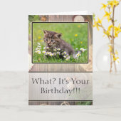 超高すごいハッピーバースデーキットンフォトカード カード (黄色い花)