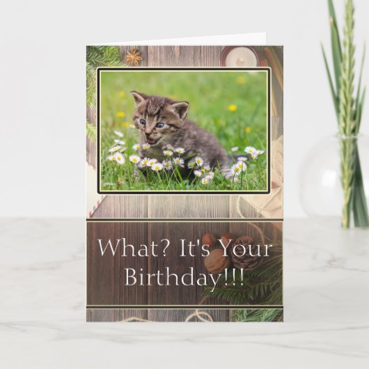 超高すごいハッピーバースデーキットンフォトカード カード (正面)