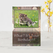 超高すごいハッピーバースデーキットンフォトカード カード (黄色い花)