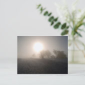 越境の ポストカード (スタンド正面)