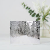 越境葉書 ポストカード (スタンド正面)