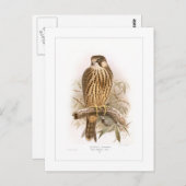 趣味 ポストカード (正面/裏面)