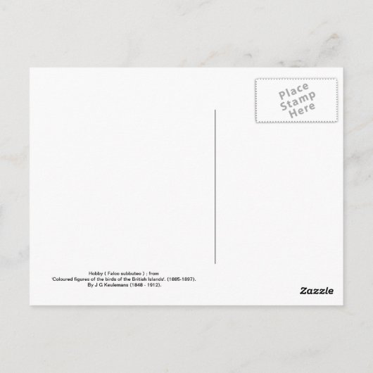 趣味 ポストカード (裏面)