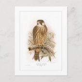 趣味 ポストカード (正面)