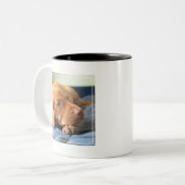 足で休んでいるVizslaの子犬 ツートーンマグカップ (正面左)