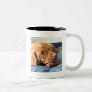 足で休んでいるVizslaの子犬 ツートーンマグカップ