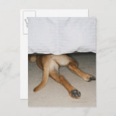 足とベッドの下に隠されたイエロー・ラブラドール・レトリーバー犬の尾 ポストカード (正面/裏面)