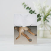 足とベッドの下に隠されたイエロー・ラブラドール・レトリーバー犬の尾 ポストカード (スタンド正面)