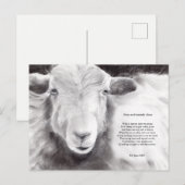 足とマウスのウイルス – 羊の葉書 ポストカード (正面/裏面)