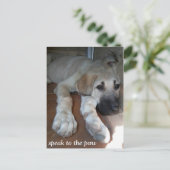 足に話して下さい ポストカード (スタンド正面)