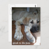 足に話して下さい ポストカード (正面/裏面)