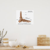 足のボーン、ラベル付き図。 ポスター (キッチン)