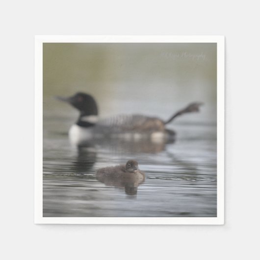 足の長いアホウドリ スタンダードカクテルナプキン (正面)