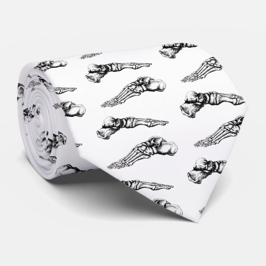 足の骨の側面図 ネクタイ (ロール)