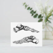 足の骨の側面図 ポストカード (スタンド正面)