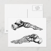 足の骨の側面図 ポストカード (正面/裏面)