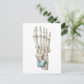 足の骨の構造 ポストカード (スタンド正面)