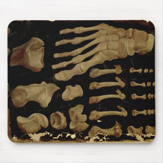 足の骨の解剖スケッチ マウスパッド (正面)