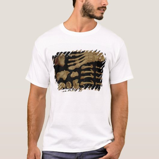 足の骨の解剖スケッチ Tシャツ (正面)