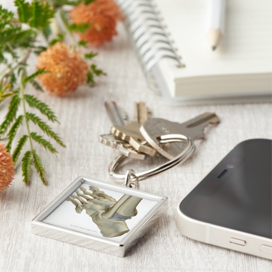 足の骨 キーホルダー (側面)