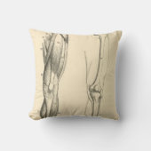 足の ヴィンテージの解剖学|筋肉そして骨 クッション (正面)